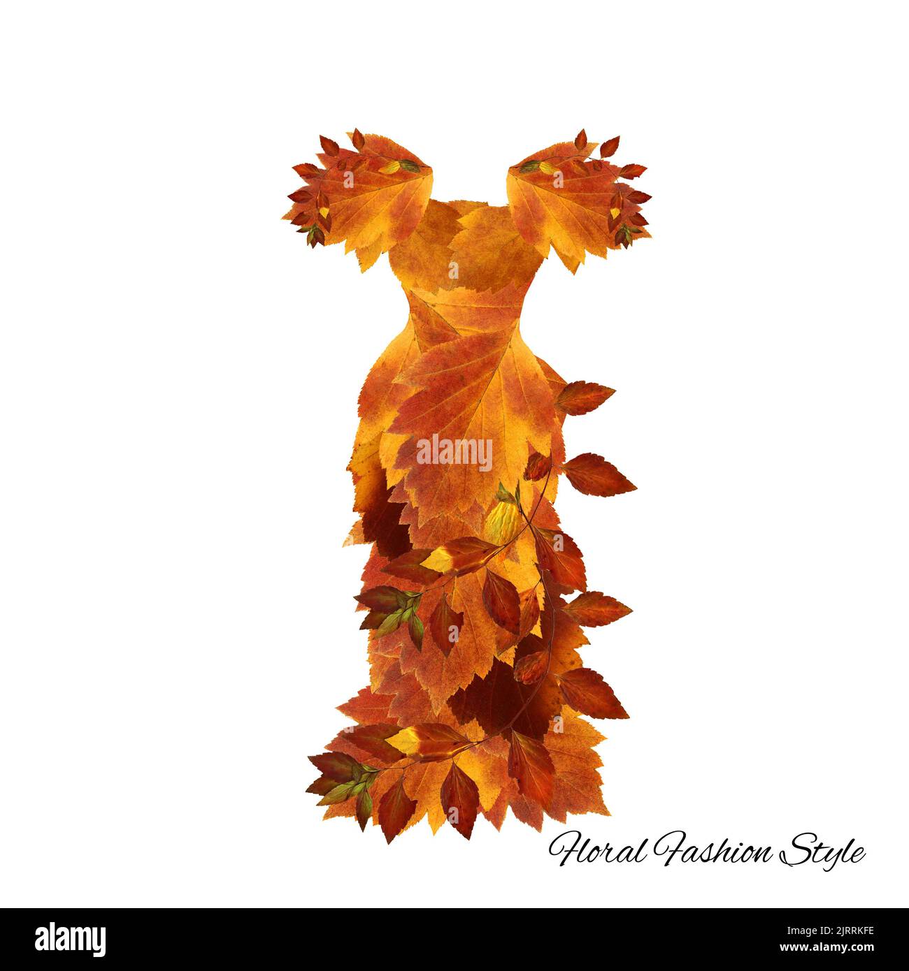 Song of Style - Flower Print Dress