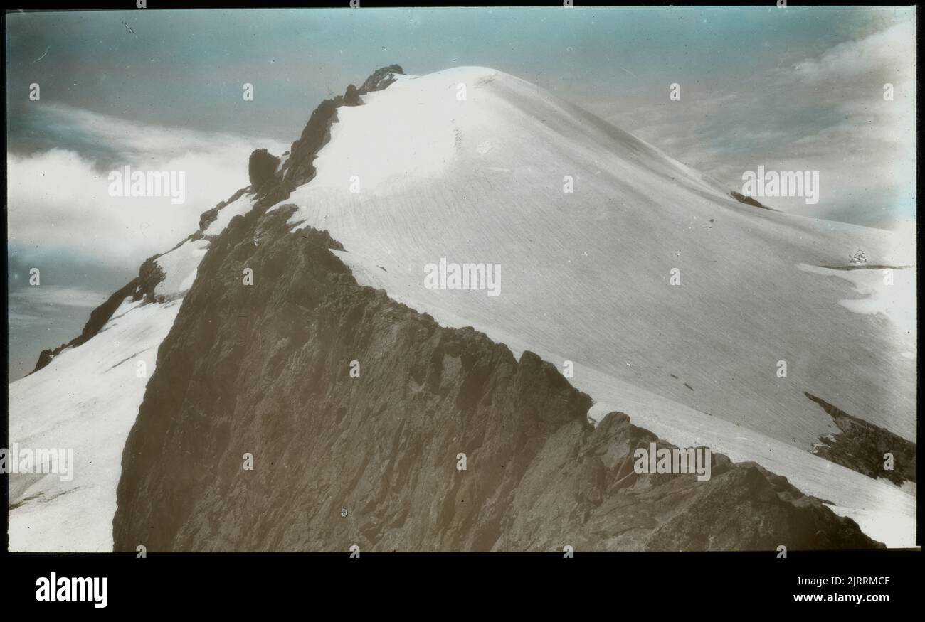Summit of Mt (Mount) Macpherson, West Coast, by Algernon Charles Gifford. Gift of Mrs Murray, 1967. Stock Photo