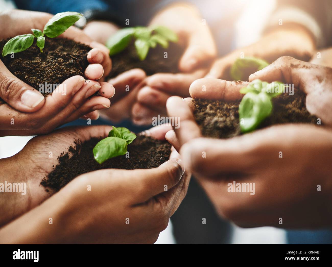 Eco friendly hands and plants with growth, teamwork, togetherness and ...