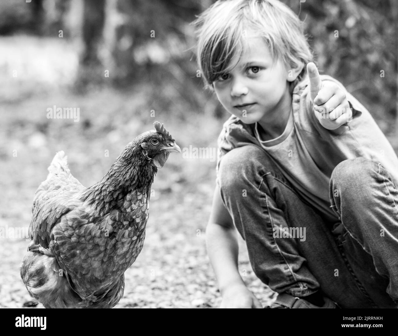 Boy with rescue hen Stock Photo