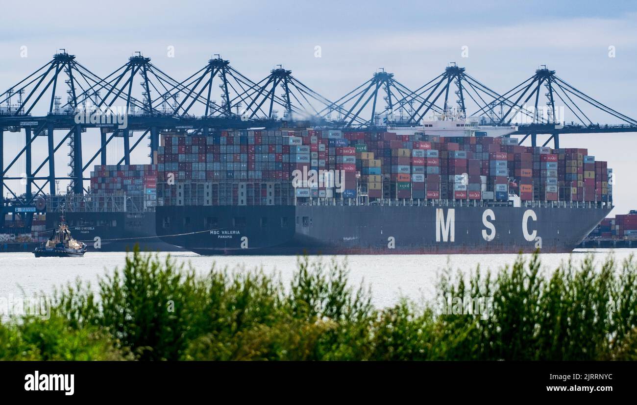 MSC cargo container ship, Felixstowe, UK Stock Photo