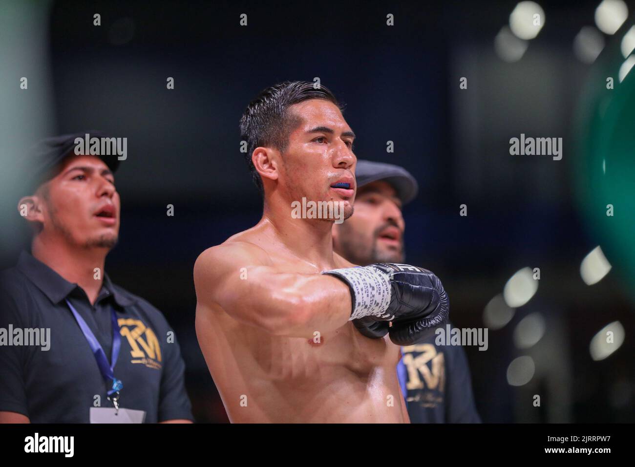 Miguel Parra during the boxing match between Florian Marku and Miguel