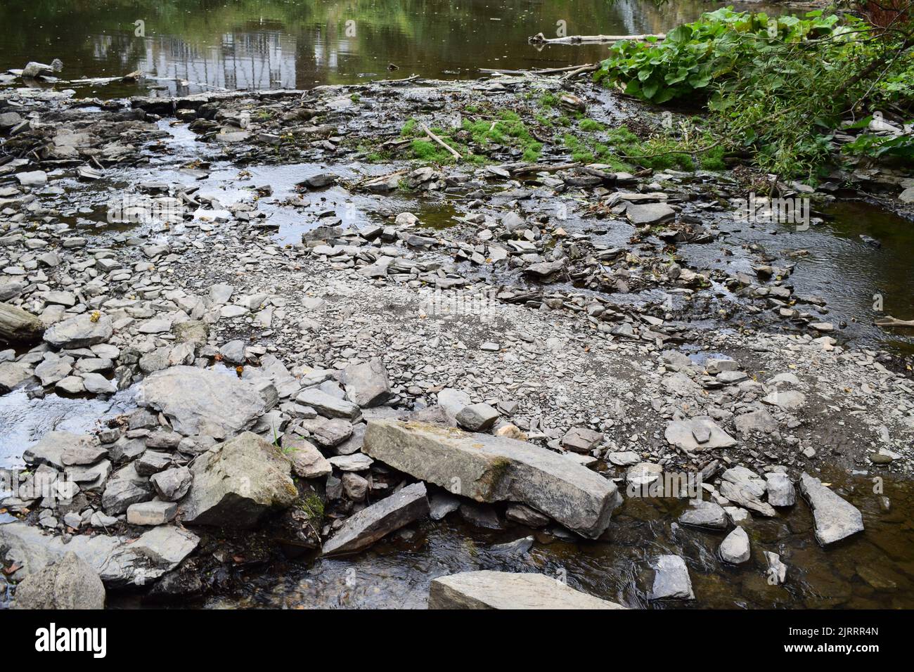 rocks and driftgood in the Elz during drought Stock Photo - Alamy