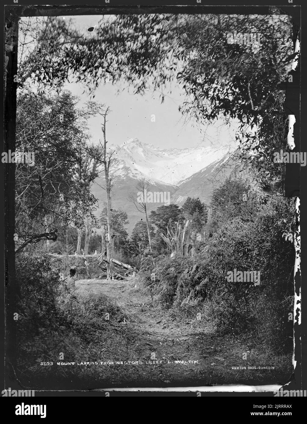 Mount Larkins from Hector's Creek, Lake Wakatipu, 18781880, Wakatipu