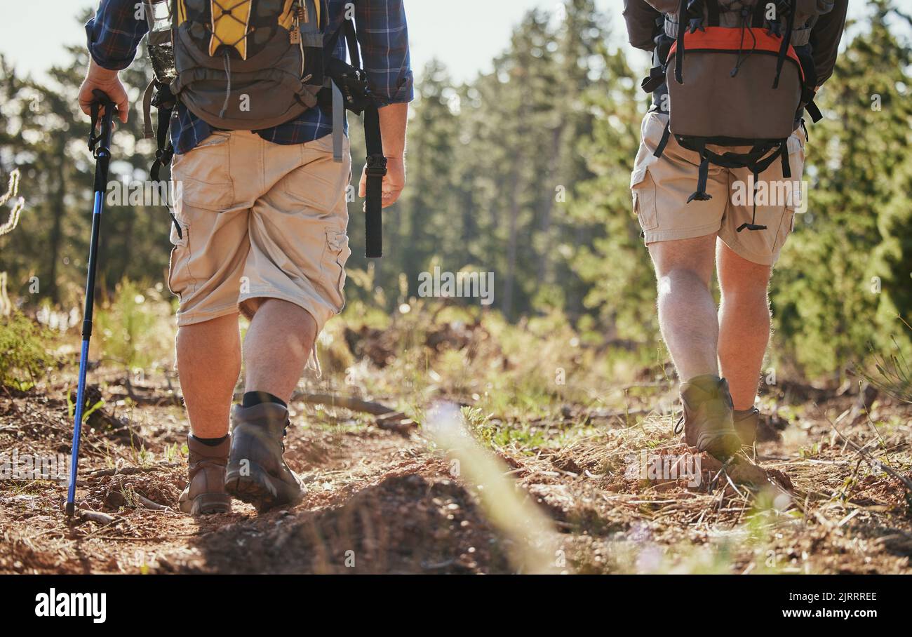 Nature hiking, fitness and exercise of people walking on a green forest