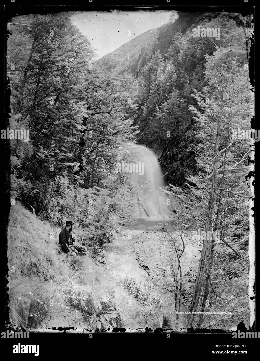 Water Fall Ben More [sic] Creek, Wakatipu, NZ, 1878-1880, Wakatipu, Lake, by William Hart, Hart, Campbell & Co. Stock Photo