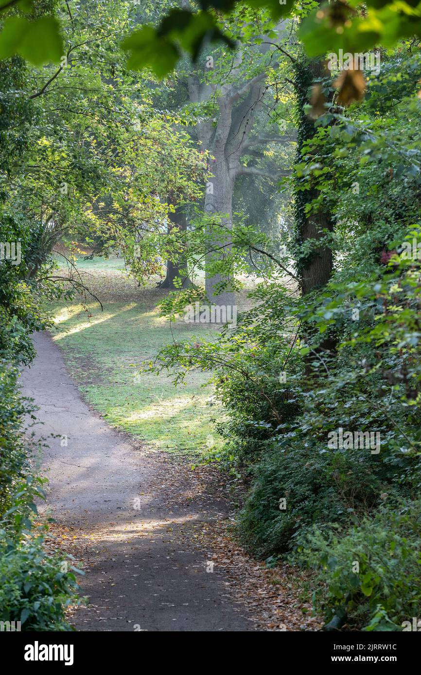 Abington Park, Northampton, UK. 26th August 2022. A early Autumnal feel early morning as one meanders through the very scenic Abington Park. Credit: Keith J Smith./Alamy Live News. Stock Photo