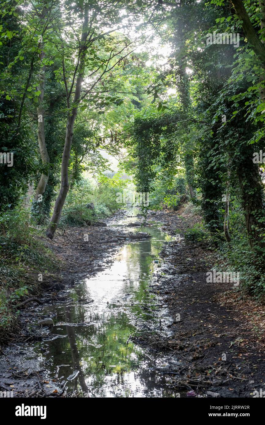 Abington Park, Northampton, UK. 26th August 2022. A early Autumnal feel early morning as one meanders through the very scenic Abington Park. Credit: Keith J Smith./Alamy Live News. Stock Photo