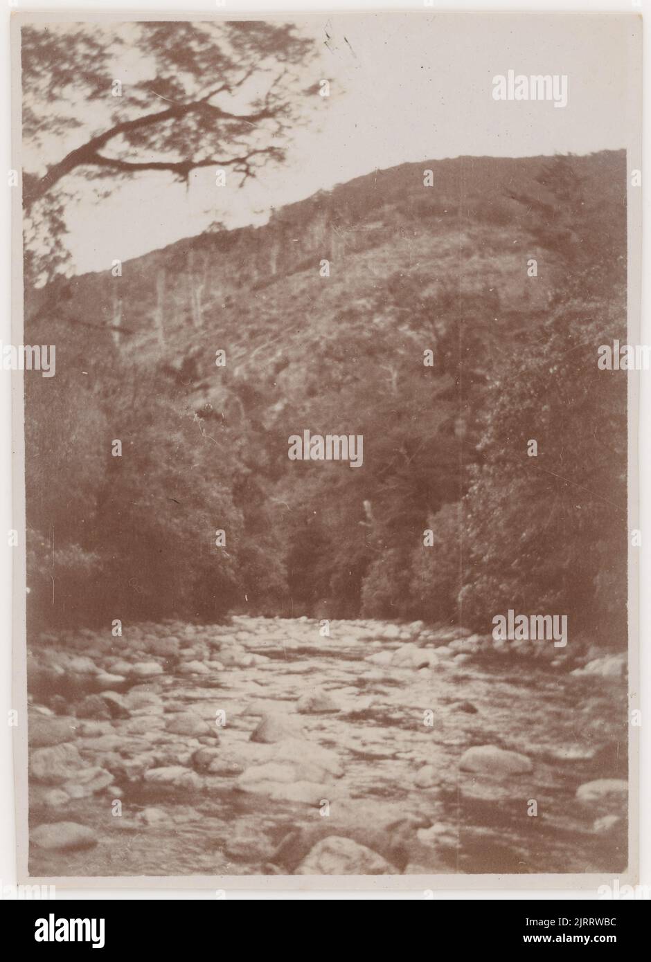 [Masterton river]., 1920s to 1930s, New Zealand, by Roland Searle Stock ...