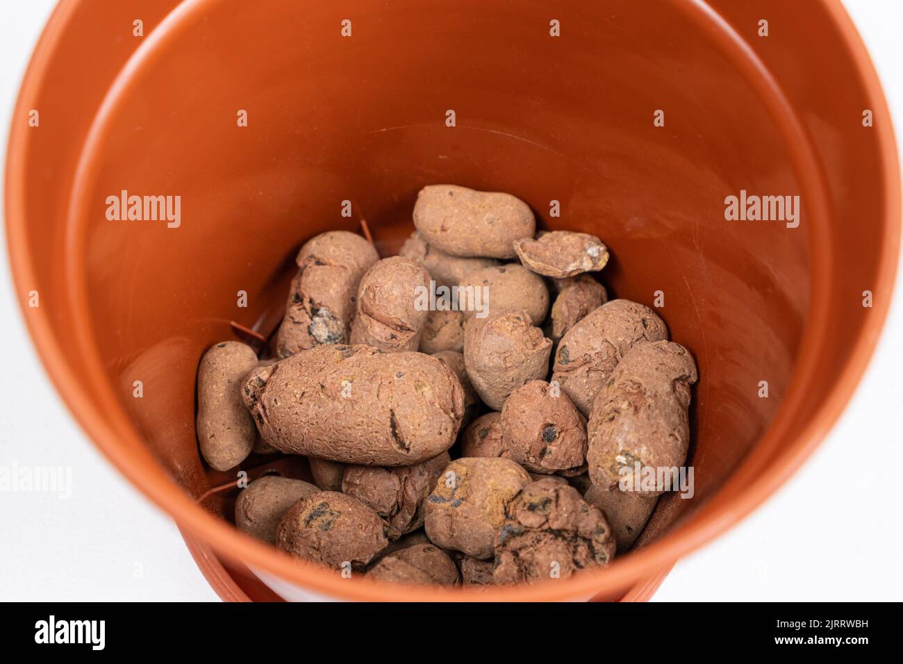 Claydite drainage stones in a pot for houseplants on a white background