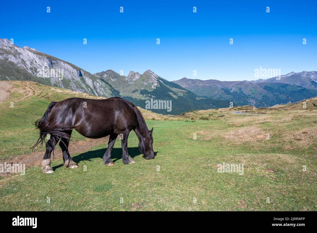 Landscape of the Pyrenees at the Col du Soulor with a horse grazing Stock Photo