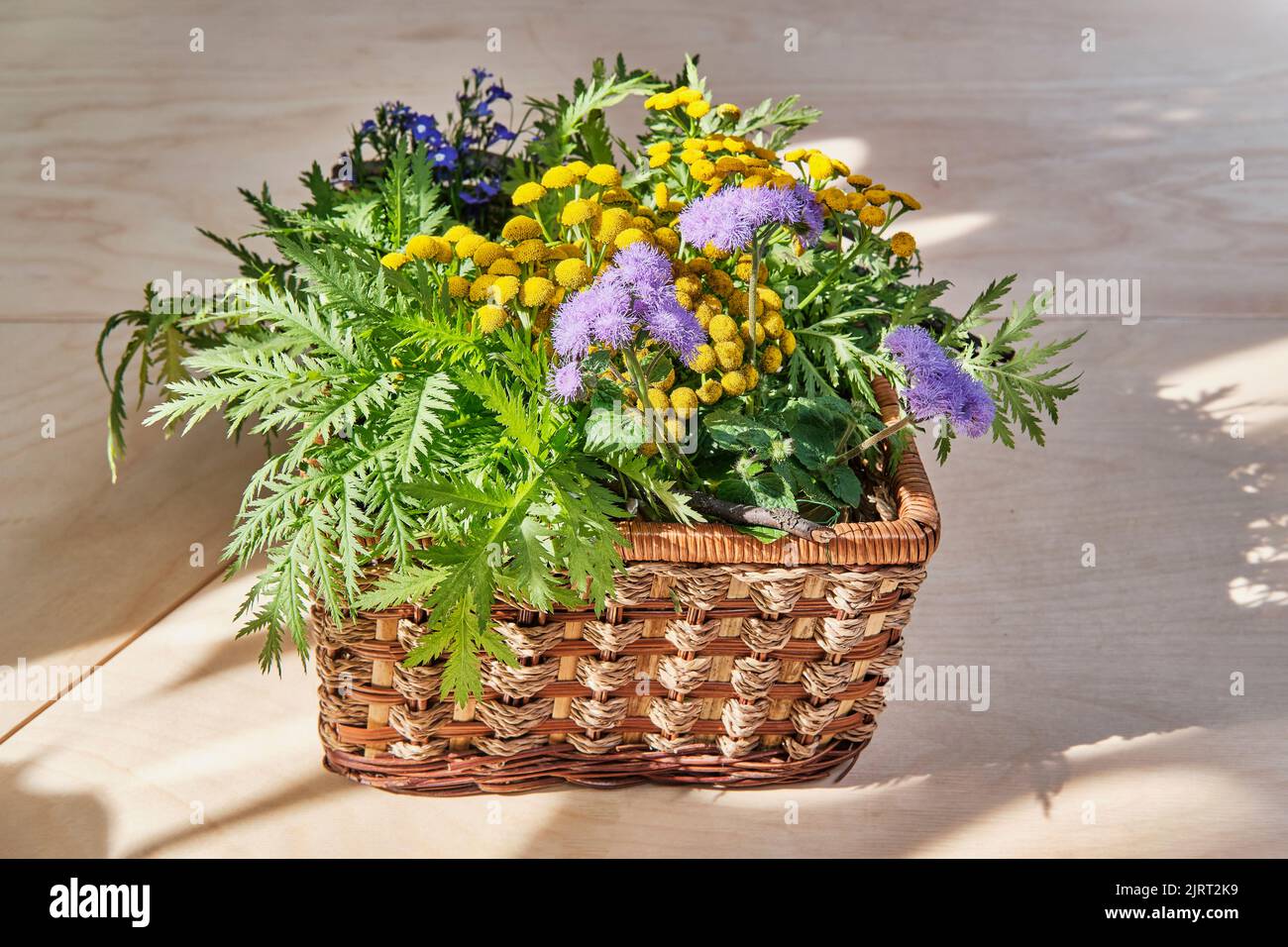 Bouquet of wild flowers and plants in rectangular wicker basket in ...