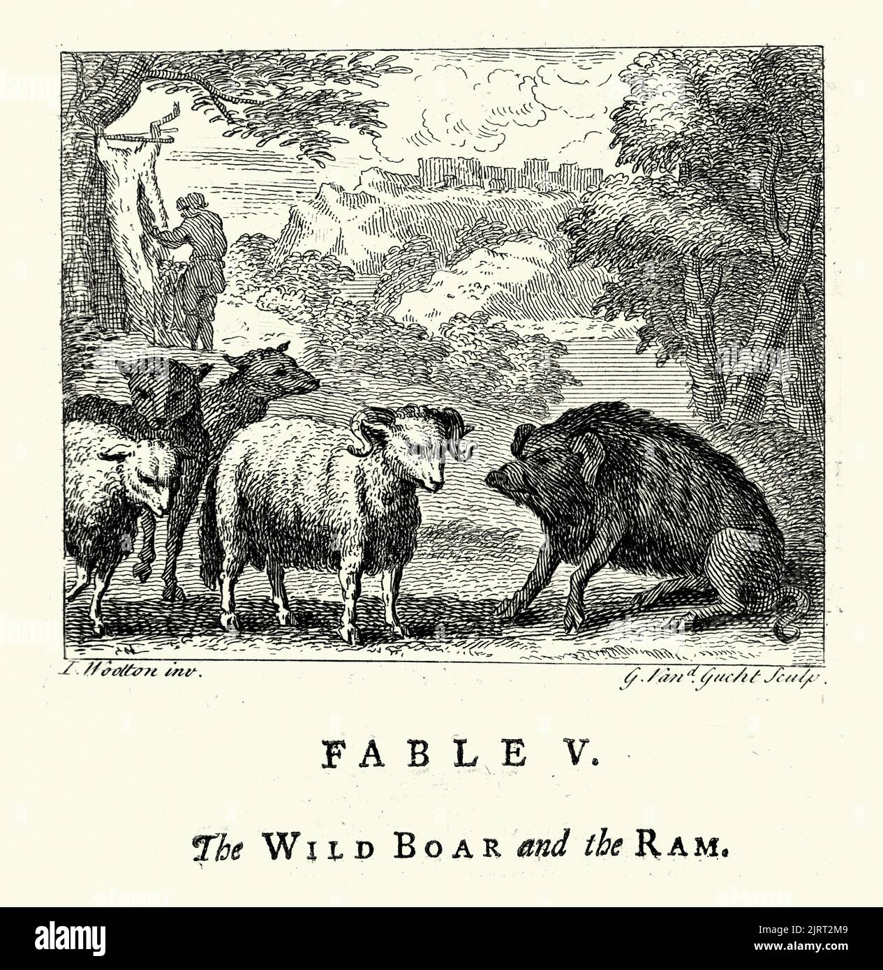 Vintage engraving The Wild boar and the Ram, From the Fables of John Gay 18th Century Stock Photo