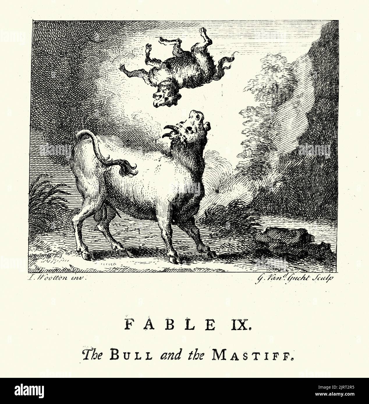 Vintage engraving The Bull and the Mastiff, From the Fables of John Gay 18th Century Stock Photo