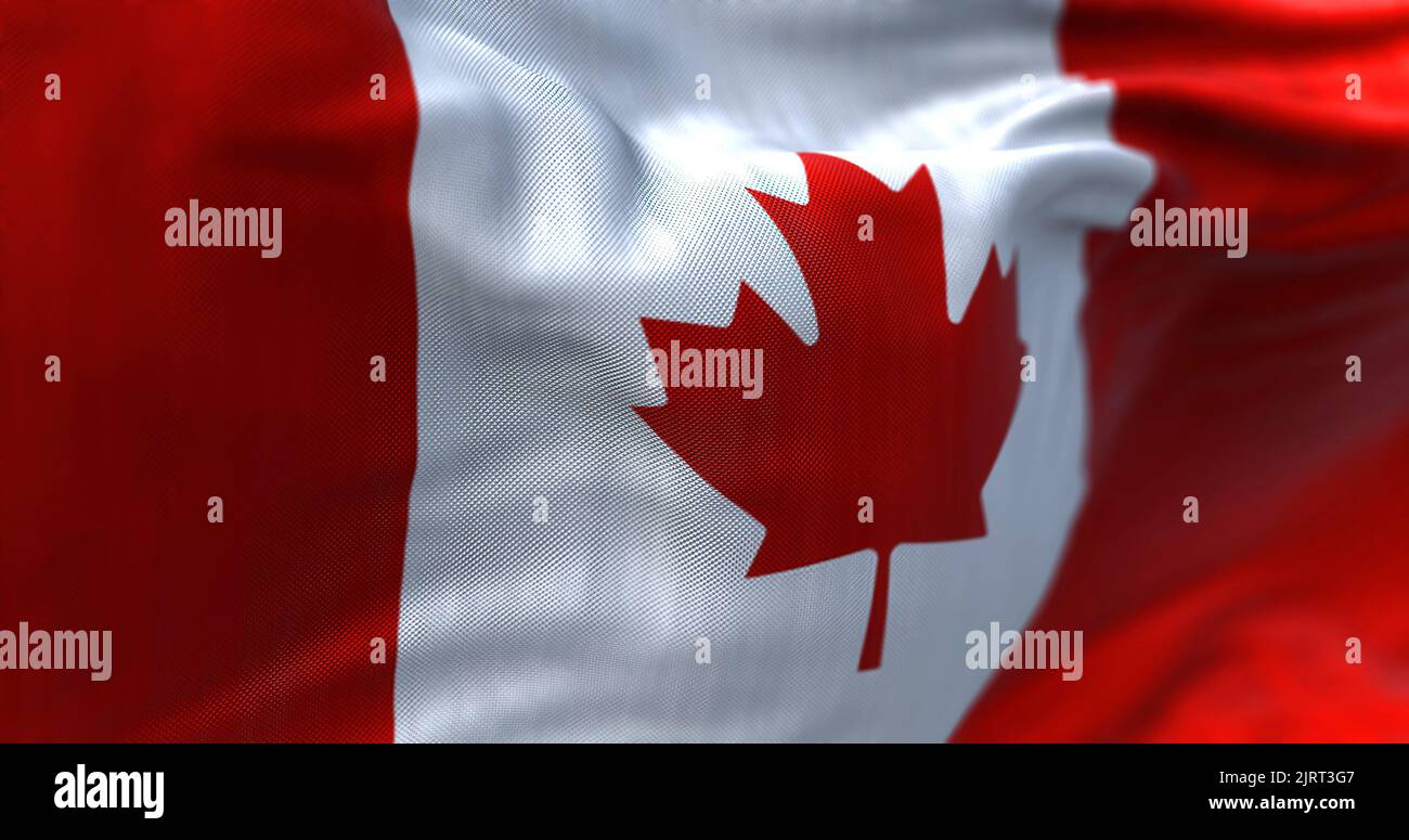 Close-up view of the canadian national flag waving in the wind. is a country in North America. Fabric textured background. Selective focus Stock Photo
