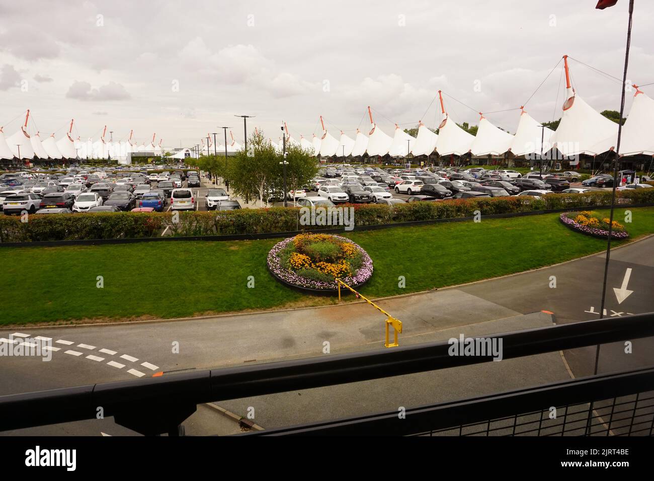 ashford designer outlet nike