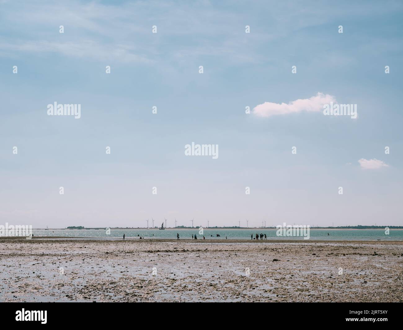 The low tide summer beach seaside landscape with people at West Mersea