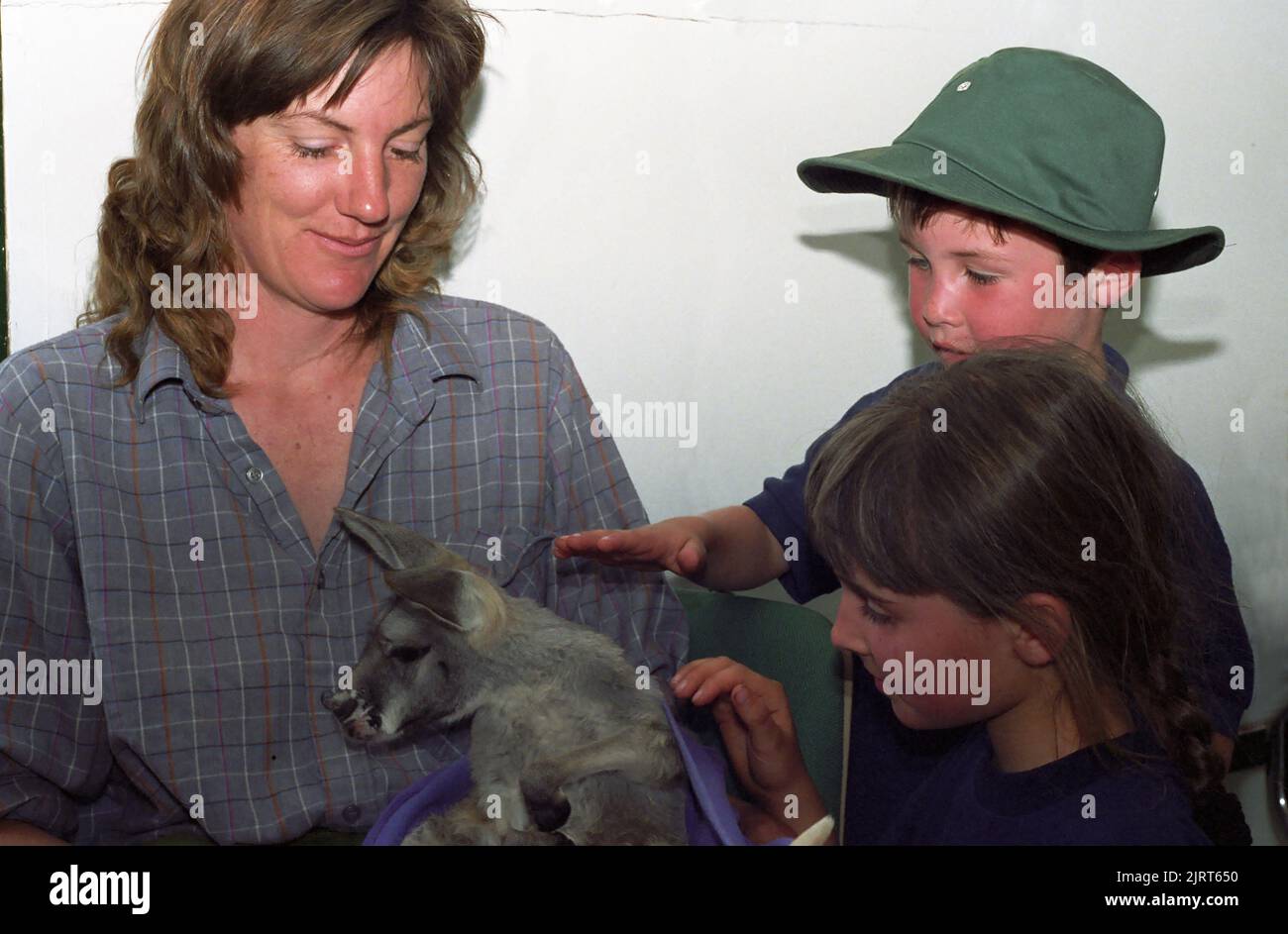Rescued joey, called Boo the Roo, admired by two children and a carer, Urisino Station, New South Wales, Australia. Stock Photo