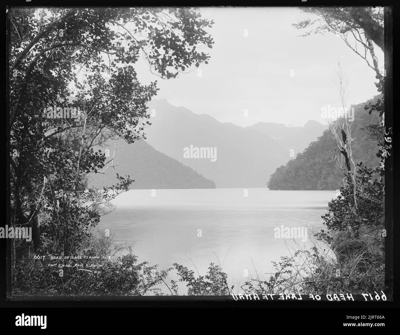 Head of Lake Te Anau, N.Z., Dunedin, by Muir & Moodie Stock Photo Alamy