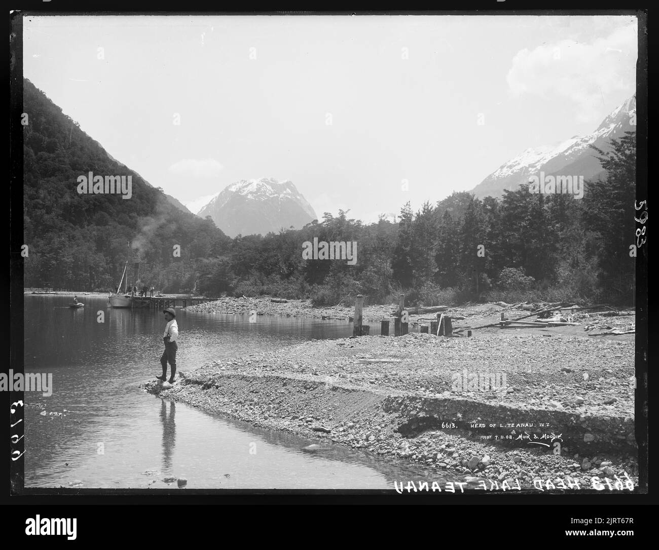 Head of Lake Te Anau, N.Z., Dunedin, by Muir & Moodie Stock Photo Alamy