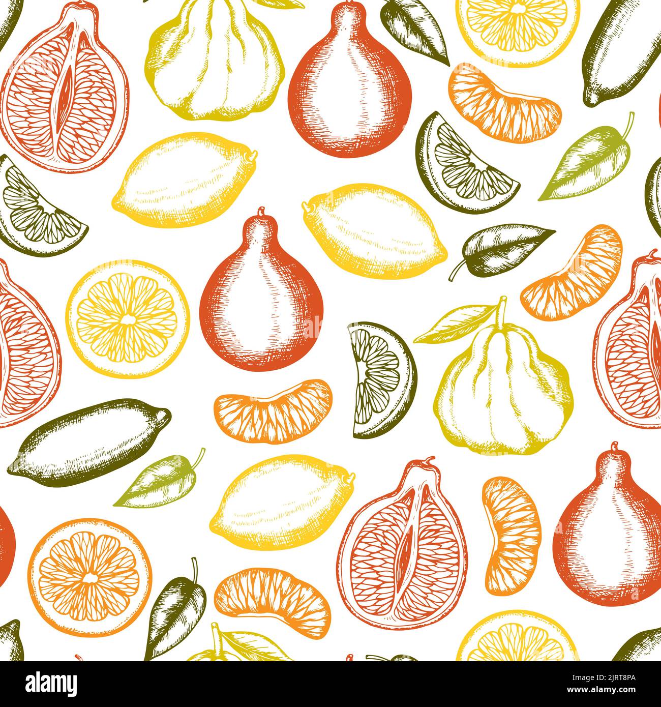 Vintage hand drawn seamless pattern with citrus fruit Stock Photo - Alamy