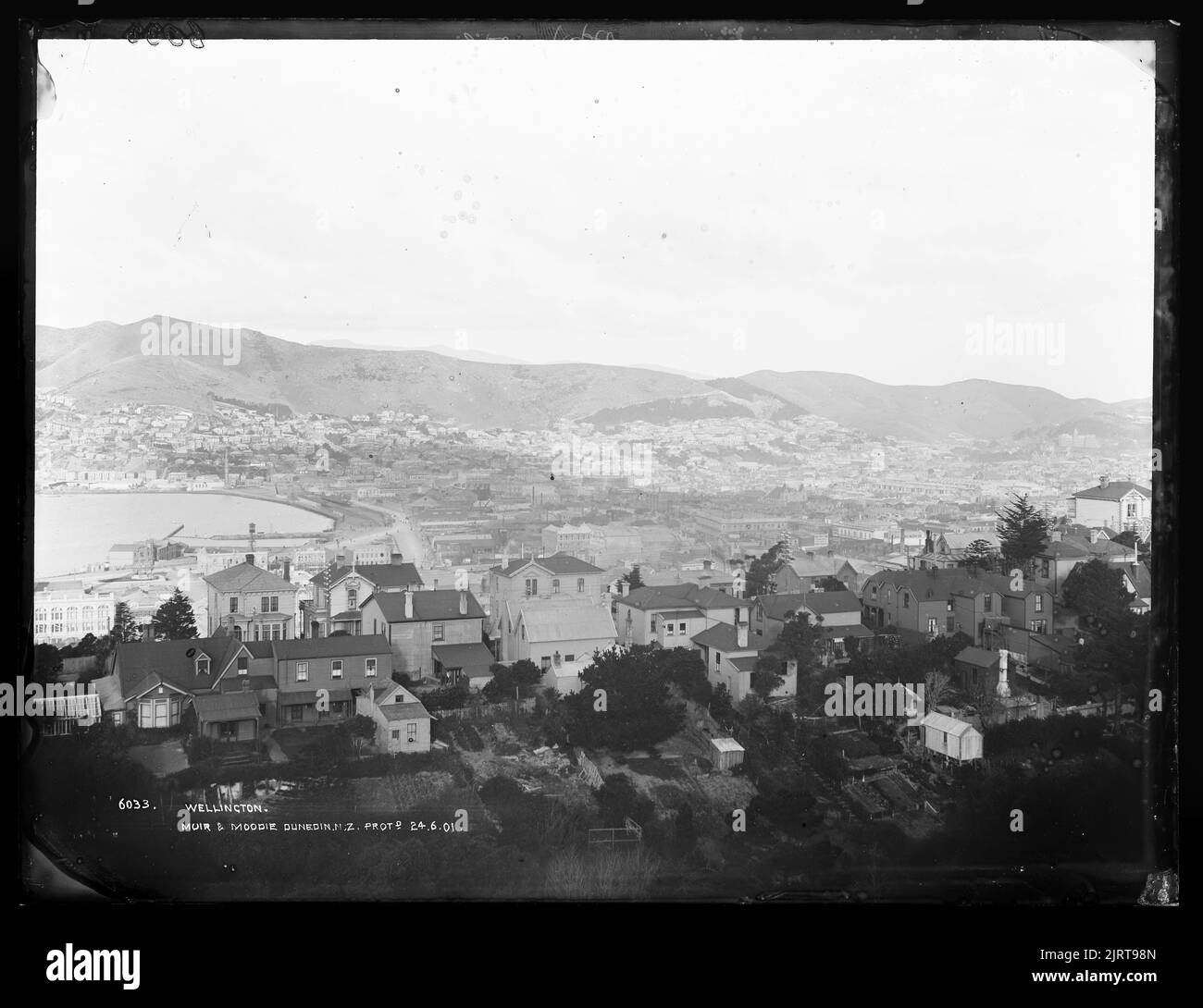 Wellington, New Zealand, by Muir & Moodie. Stock Photo