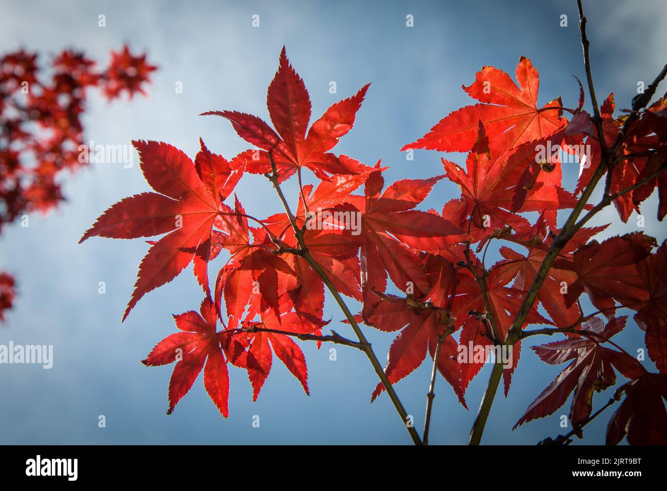 Hd sky wallpaper hi-res stock photography and images - Alamy