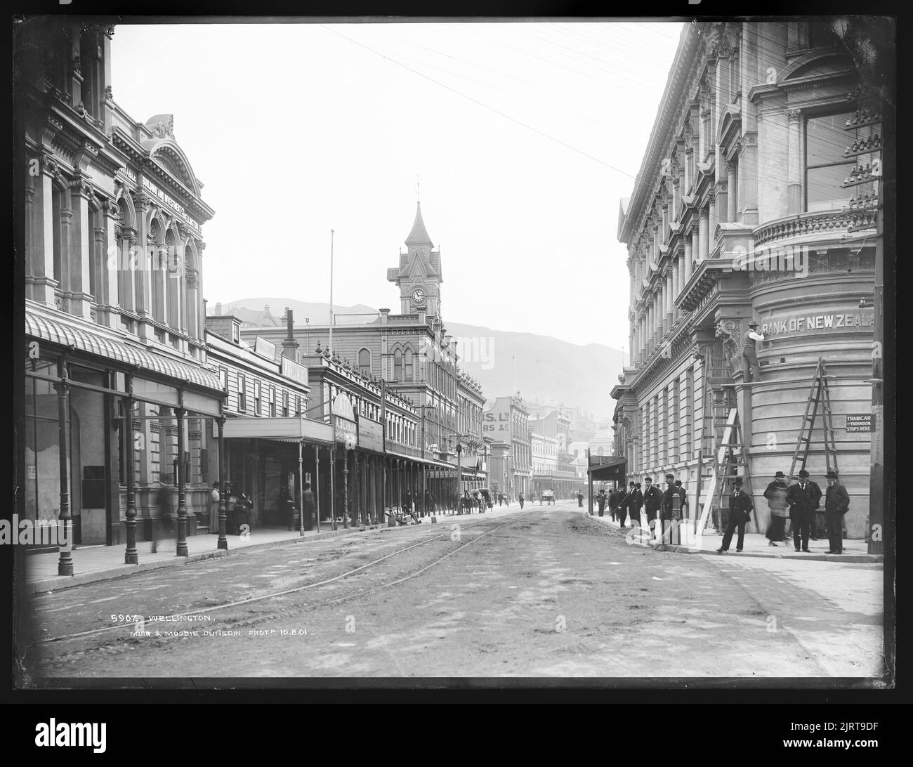 Wellington, New Zealand, by Muir & Moodie. Stock Photo