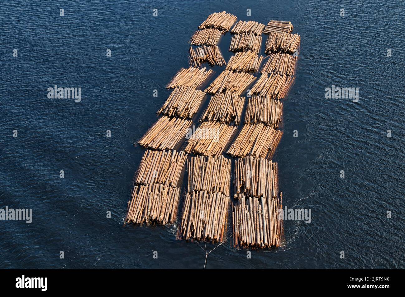 Rafts of lumber Stock Photo