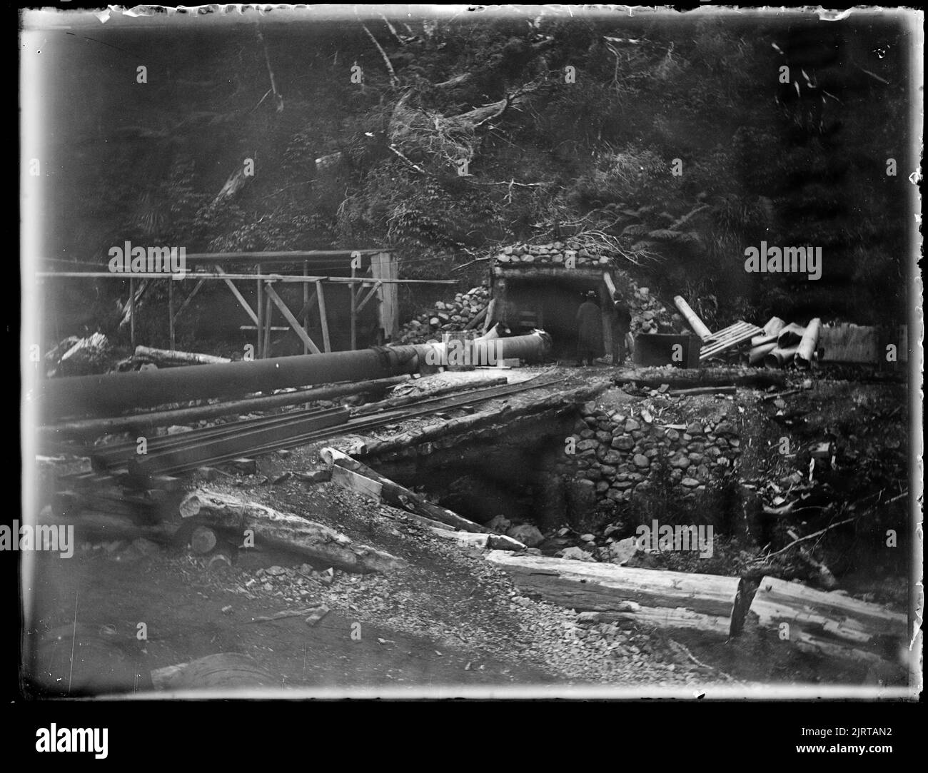 Wellington, Wellington, by Leslie Adkin. Gift of G. L. Adkin family estate, 1964. Stock Photo