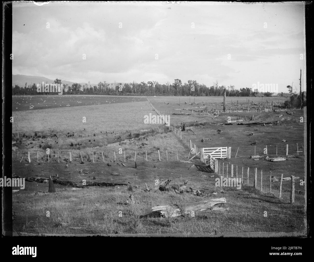 Horowhenua farm land horowhenua farm land hires stock photography and