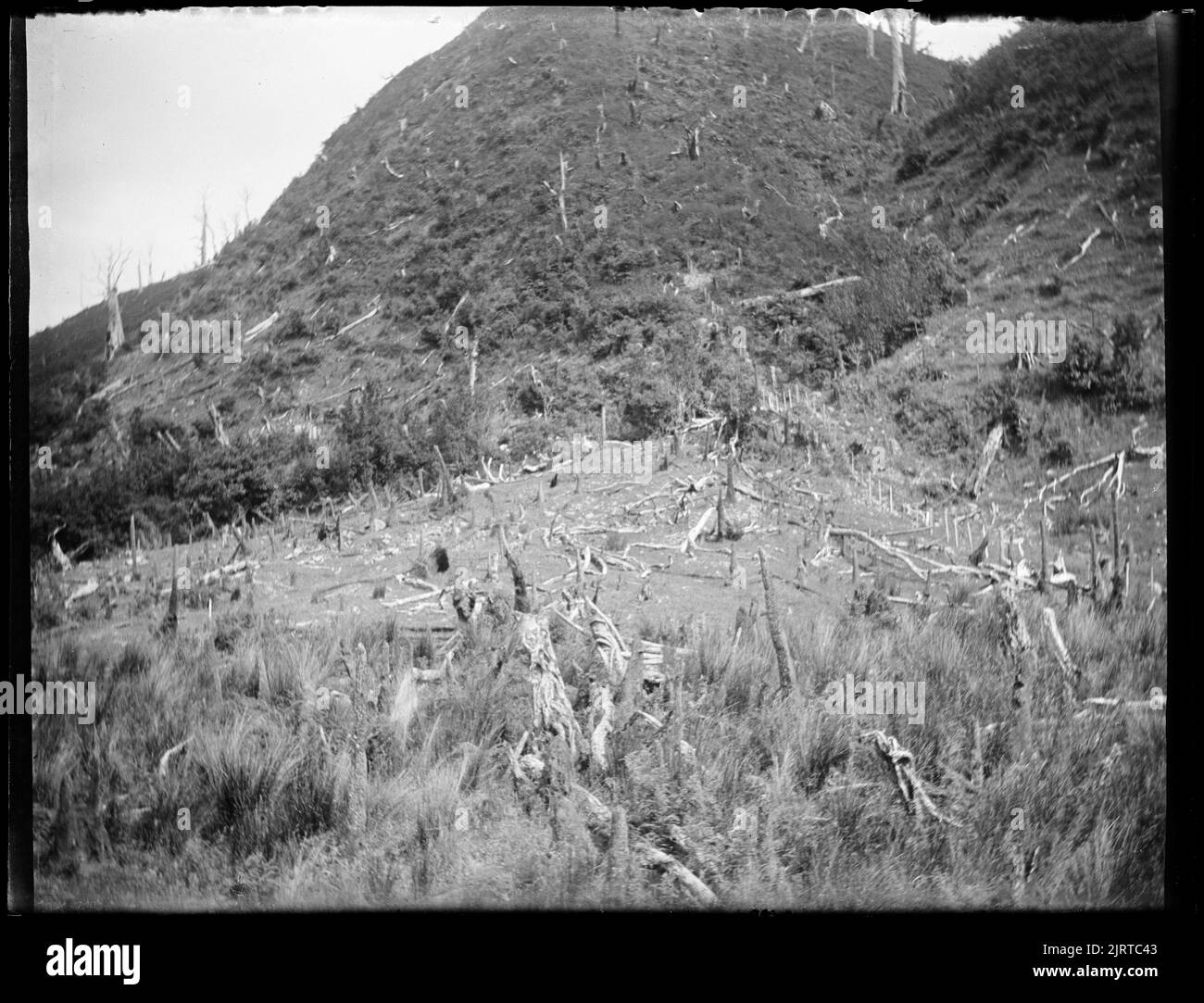 Land dunes etc horowhenua hires stock photography and images Alamy