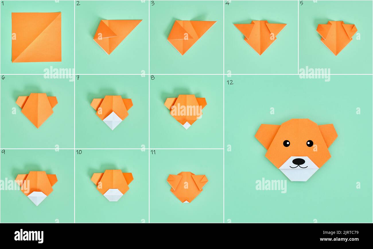 Origami Bear. Step-by-step photo instruction on a green background. DIY concept. Stock Photo