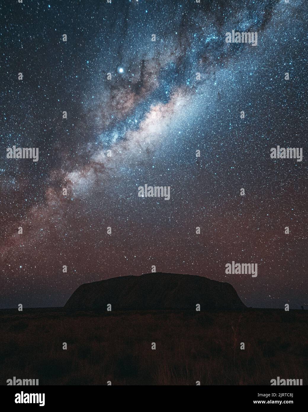 A vertical shot of a landscape under the starry sky