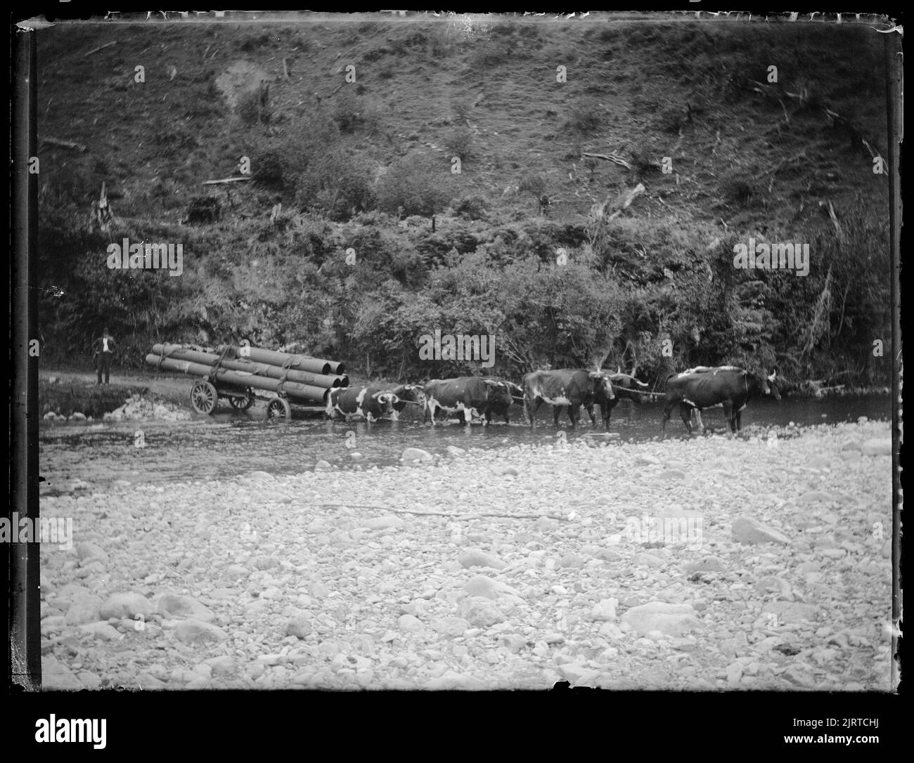 Pipe Bridge, Ohau River, North Island, by Leslie Adkin. Gift of G. L ...