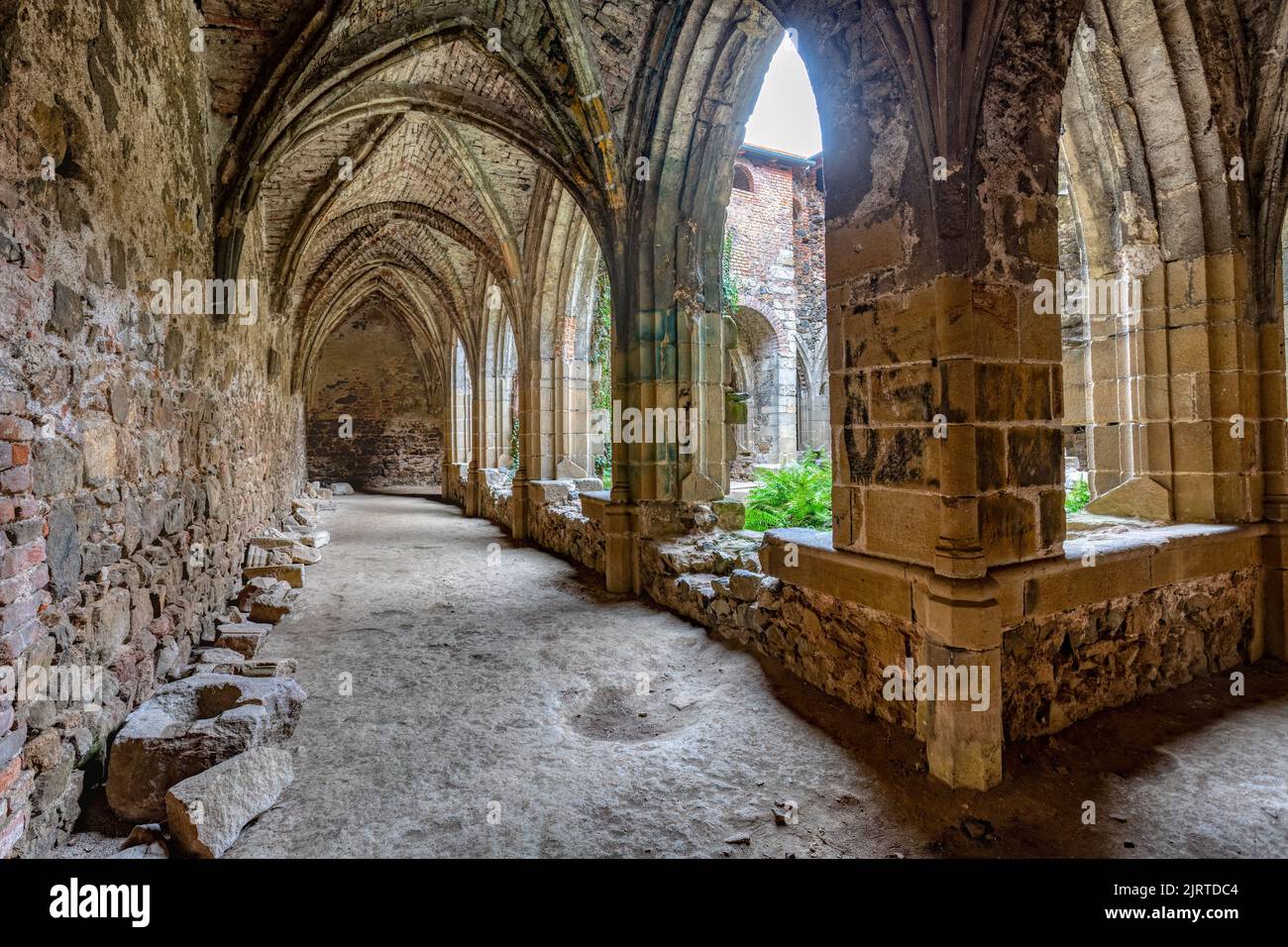 The Rosa Coeli monastery. Ancient catholic ruin of monastery near Dolni Kounice city. Religion gothic place with spiritual history builded from stone. Stock Photo