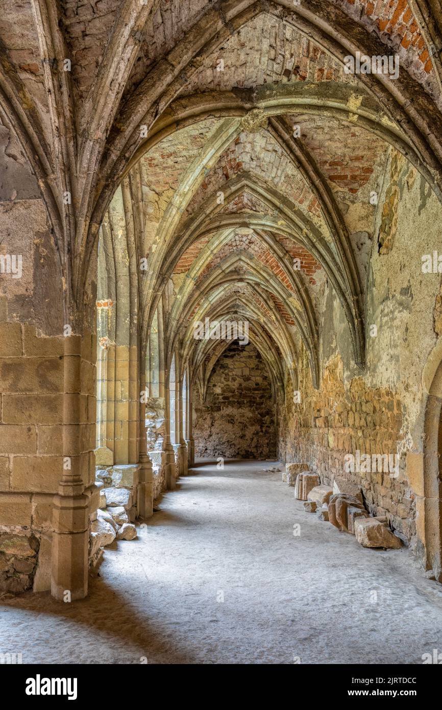 The Rosa Coeli monastery. Ancient catholic ruin of monastery near Dolni Kounice city. Religion gothic place with spiritual history builded from stone. Stock Photo