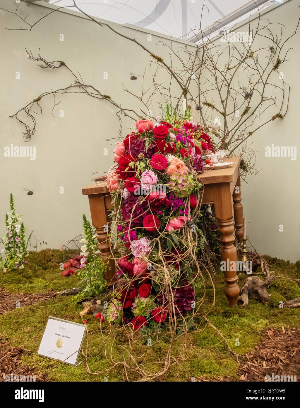 A flower display in the flower tent at the Chelsea Flower Show 2022, London. UK. Stock Photo