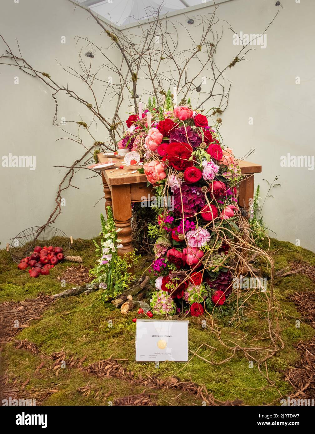 A flower display in the flower tent at the Chelsea Flower Show 2022, London. UK. Stock Photo