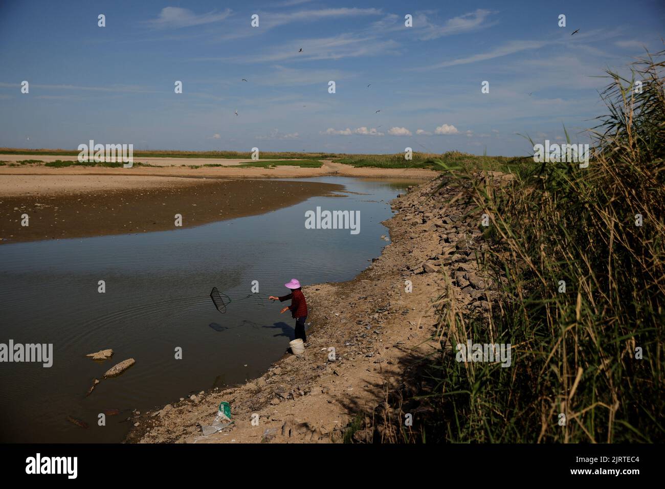 Local villager Ye Fa throws a cage to catch fish in a pool of water left by Poyang Lake that shows record-low water levels as the region experiences a drought outside Nanchang, Jiangxi province, China, August 26, 2022.  REUTERS/Thomas Peter Stock Photo