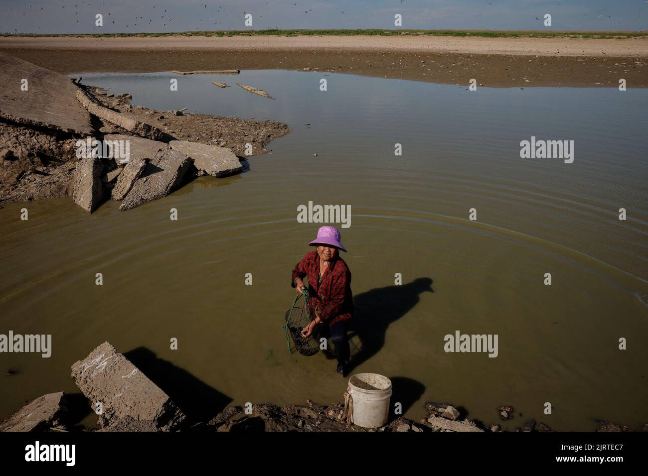 Local villager Ye Fa uses a cage to catch fish in a pool of water left by Poyang Lake that shows record-low water levels as the region experiences a drought outside Nanchang, Jiangxi province, China, August 26, 2022.  REUTERS/Thomas Peter Stock Photo