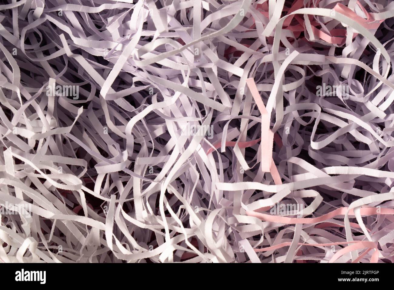 Texture lilac and purple pastel spaghetti shredded packing paper. Paper used to protect fragile object while in transport, filling gift boxes and gift wrapping. Wallpaper and Texture. Stock Photo