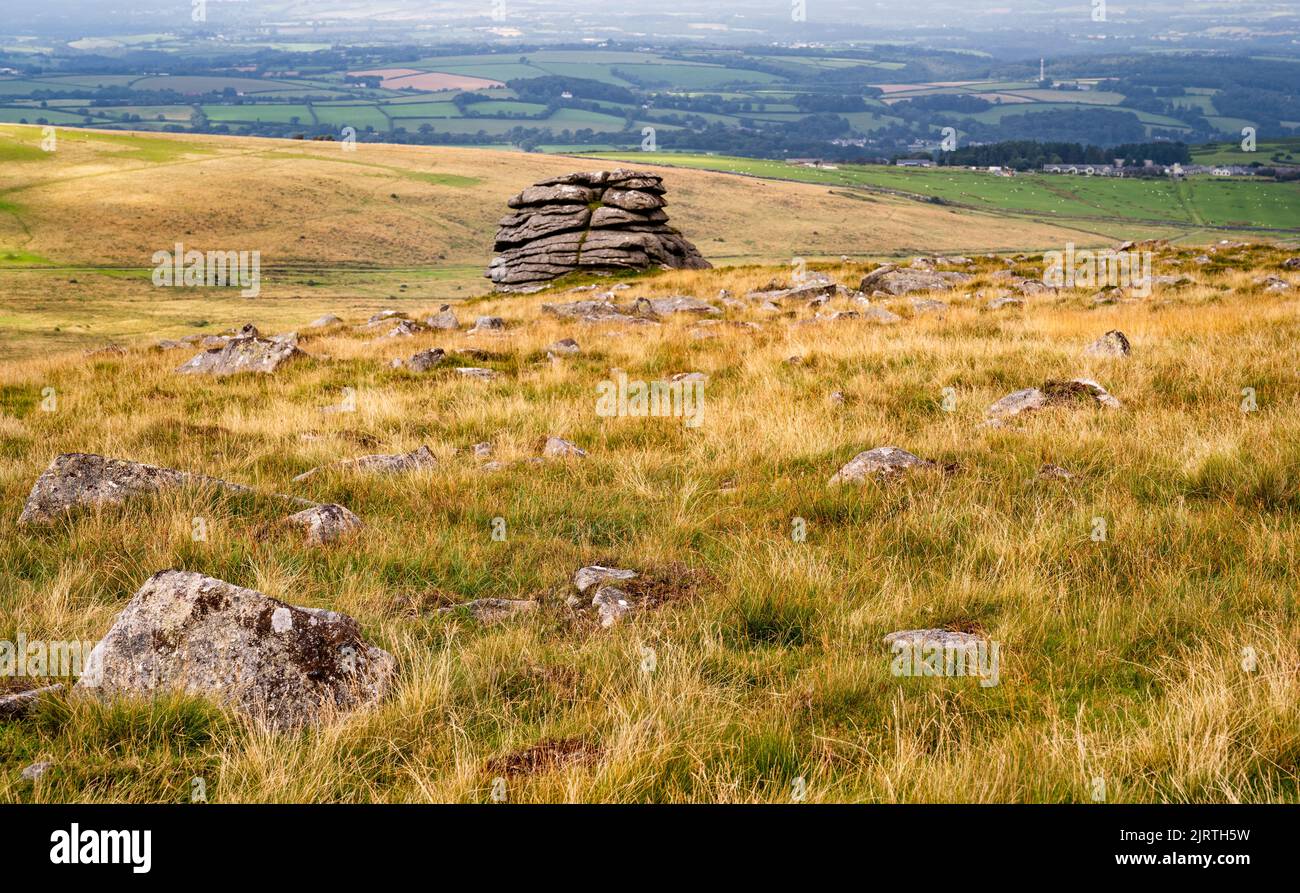 A small granite outcrop on West Mill Tor, Dartmoor National Park, Devon, UK. Stock Photo