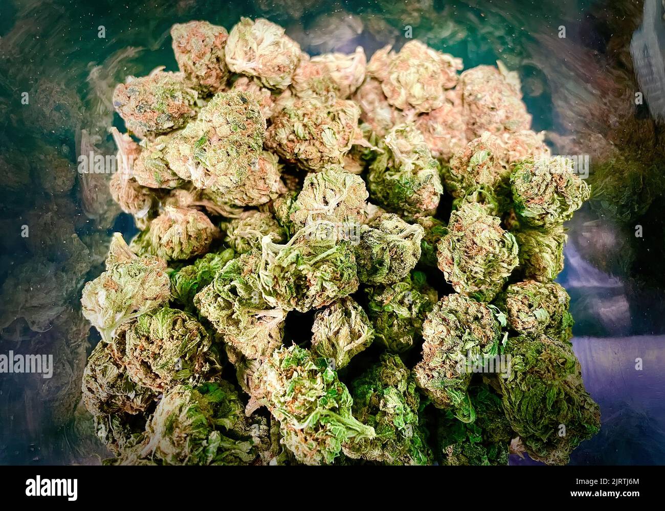 Cannabis medical Marijuana CBD flower buds at dispensary Stock Photo