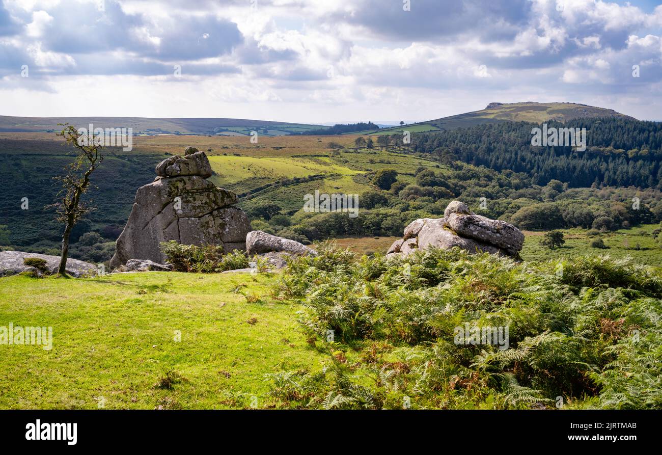 Cuckoo Rock is a granite outcrop on the slope of Combshead Tor in Dartmoor National Park, Devon, UK Stock Photo