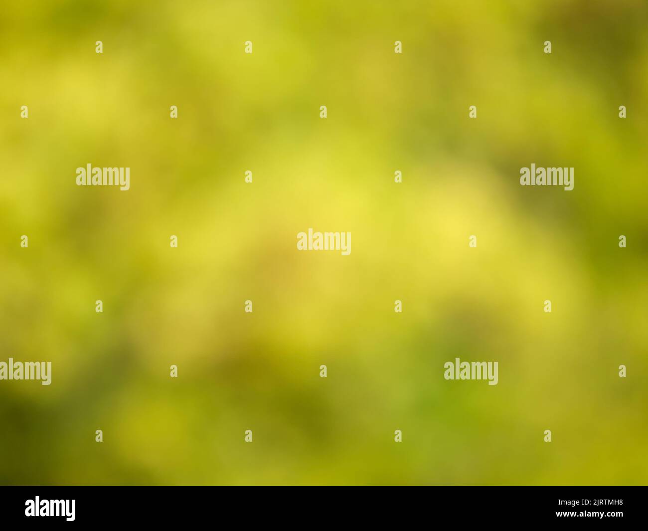 Out of focus natural background Stock Photo