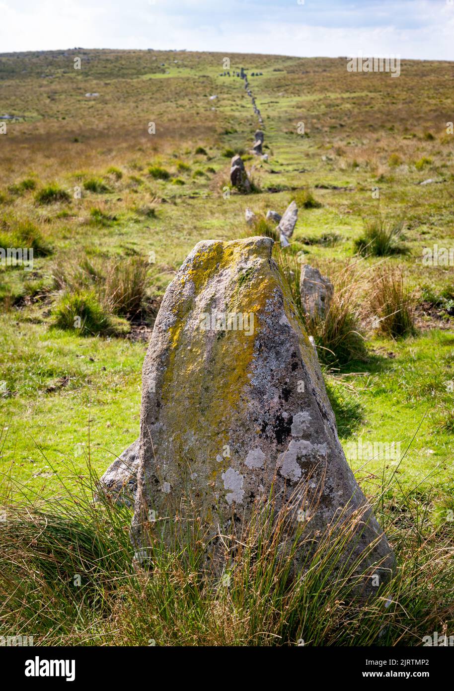 Hingston Hill Stone Row, also called Down Tor row, 1145 feet long, leads to a stone cairn circle at its west end.  Hingston Down, Dartmoor, Devon, UK. Stock Photo