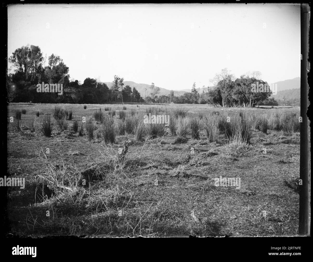 Paddock Reeds Hillside paddock Black and White Stock Photos & Images - Alamy