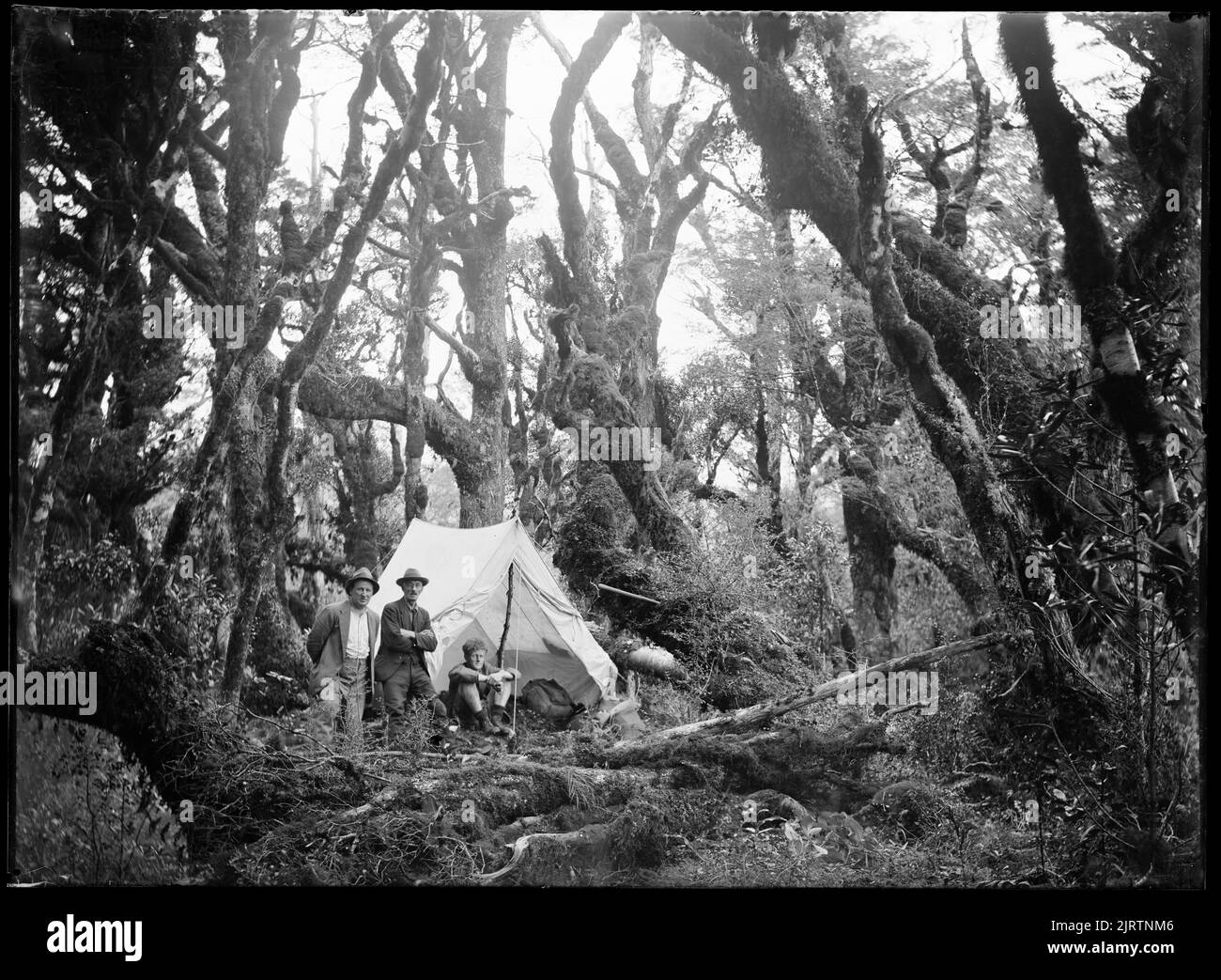 Range from levin foxton road hires stock photography and images Alamy