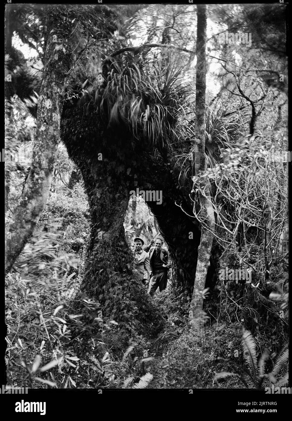 Range from levin foxton road hires stock photography and images Alamy